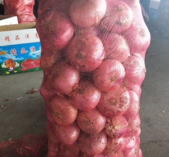 2019年山东金乡红皮洋葱价格