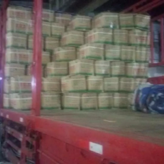 汕头农副产品批发市场“升裕蔬菜批发行”荷兰十五