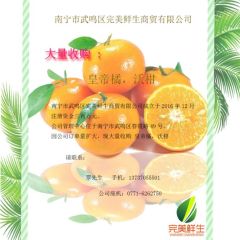 大量收购 皇帝橘，沃柑