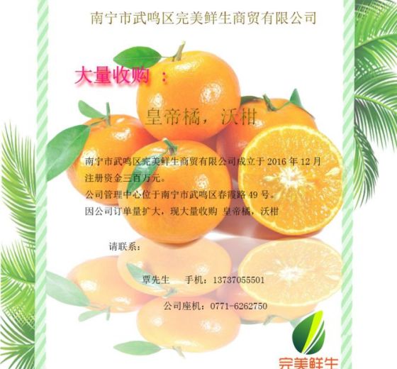 2018年广西马山沃柑，皇帝橘价格