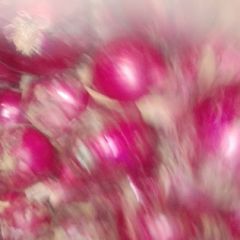 好葱便宜卖，给钱就可以