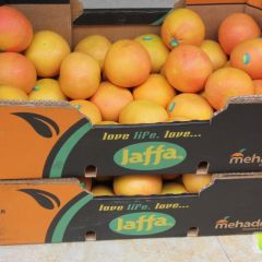 以色列西柚/葡萄柚一手批发 奶茶店榨汁专用