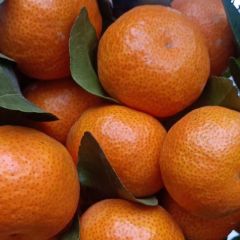 果靓货足，打腊代办一条龙！