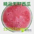 本公司大量出售精的西瓜，美都，绿赏，4K，状元
