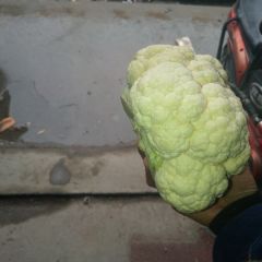 冷库菜花出库中0.4-0.45元/斤