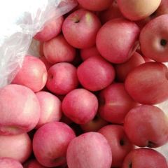 咸阳冷库平原纸袋富士苹果大量供应