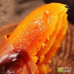 烟薯25 半斤以上 纯沙土地 东北糖心蜜薯