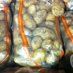 大量供应各种规格的荷兰15土豆