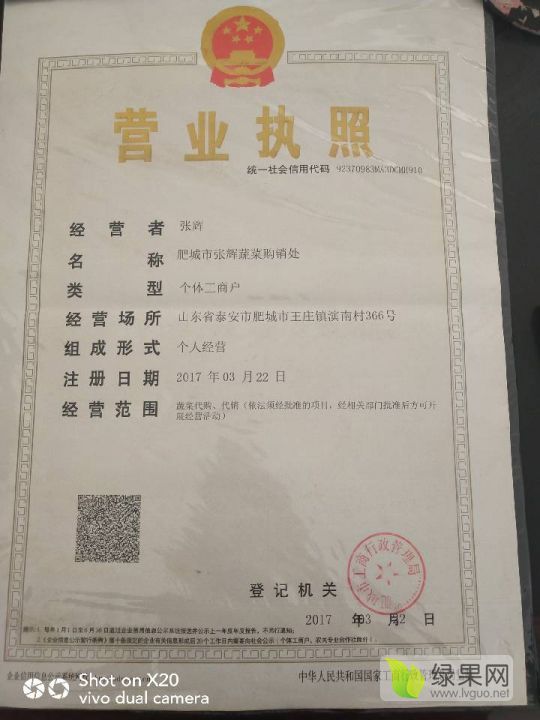 2019年山东肥城荷兰十五价格