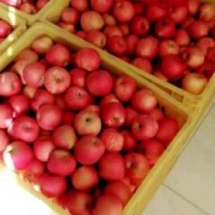 陕西铜川市耀州区苹果售卖中