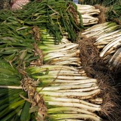 本地茺量大，面积大质量好。位置好，交通方便