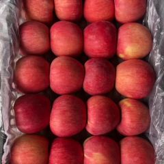 陕西大荔红富士苹果