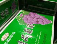 精品巨峰葡萄礼盒装