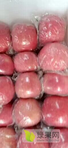 陕西大荔县优质冷库红富士苹果价格