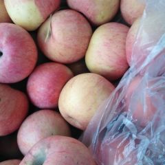 洛川苹果通货出售