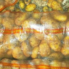 河北省沽源县土豆