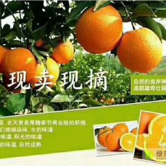 中国脐橙之都-重庆。新鲜香甜，无公害种植