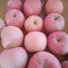 平度旧店苹果出库中