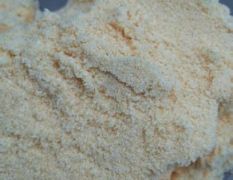 精选玉米优质玉米面粉