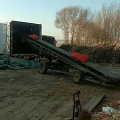 大量黄圆葱，红圆葱出库中