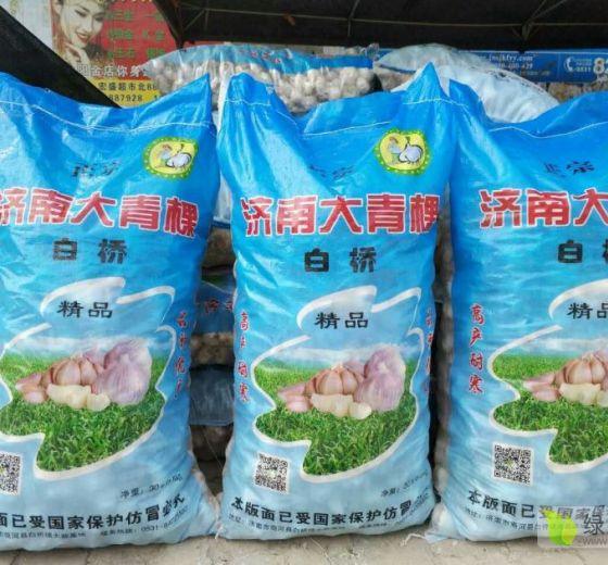 2019年山东商河大青棵蒜种价格