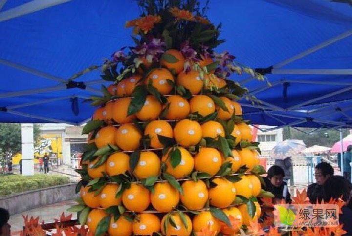 2019年重庆奉节奉节脐橙价格
