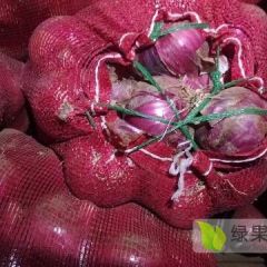 2018昌邑红皮洋葱75以上，分拣质量好