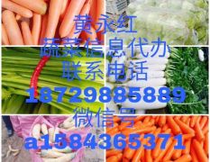黄永红蔬菜信息代办代收