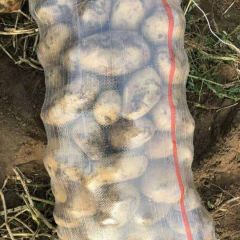 内蒙古牙克石市中暑系列 诚信经营，马铃薯品种齐全