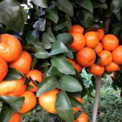 货源允足,靓货多多.一次合作,终身朋友。