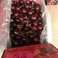 Lapin车厘子批发 智利车厘子供货商一手货源