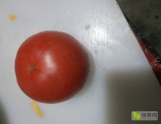 禹城市中办西红柿价格随行就市，质量好。