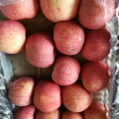 陕西水果批发基地