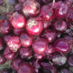 双湾紫皮洋葱大量供应中，得我者兴失我者您的损失