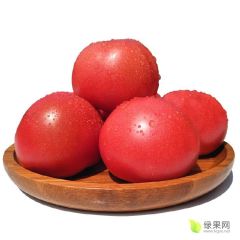 山东费县硬粉西红柿大量上市产地直销