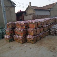 小花叶类红薯 卖的就是诚信