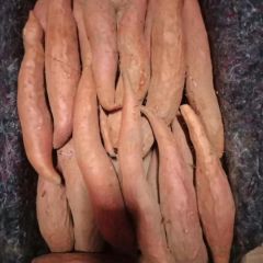 这种红薯，最适合烤这吃蒸这吃，香软甜糯