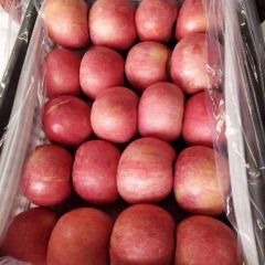 陕西省渭南市大荔县冷库现货，洛川纸袋红富士