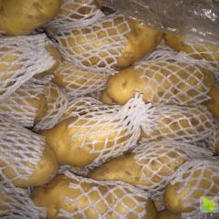 库存荷兰十五土豆急售，箱装，袋装各种标准