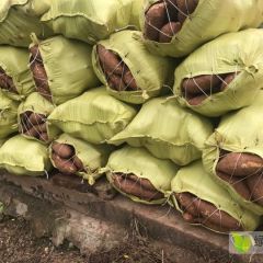 眉山红薯基地低价直供