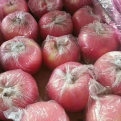 山西临猗纸加膜红富士