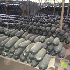 博罗黑优大冬瓜瓜形好，大棚储存，通风阴凉电话13480566408