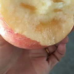 山西临猗冰糖心红富士，