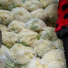 散装有机花菜价格好，走量快