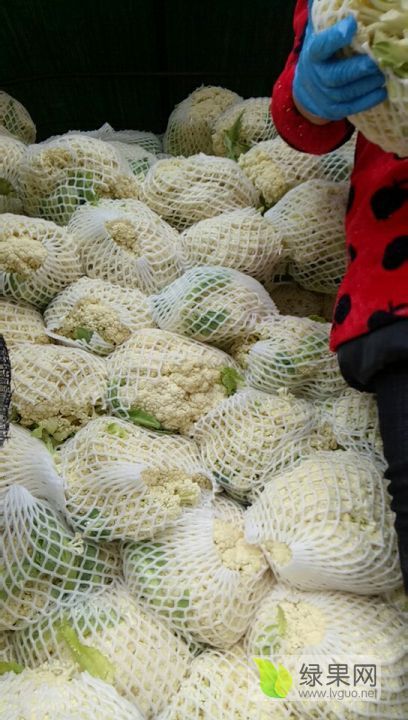 2019年江苏吴中有机花菜价格
