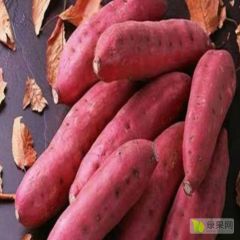 高山富硒，加工首选