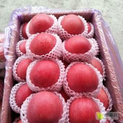 大量供应冷库红富士苹果