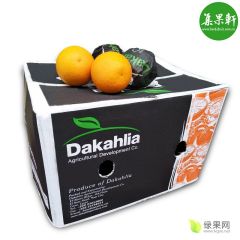 广州江南市场-集果轩 大卡瓦伦西亚酸橙批发 新橙