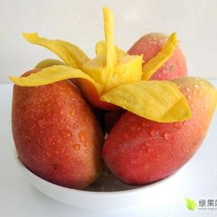 海南贵妃芒，香甜多汁春季尝鲜首选，广招代理