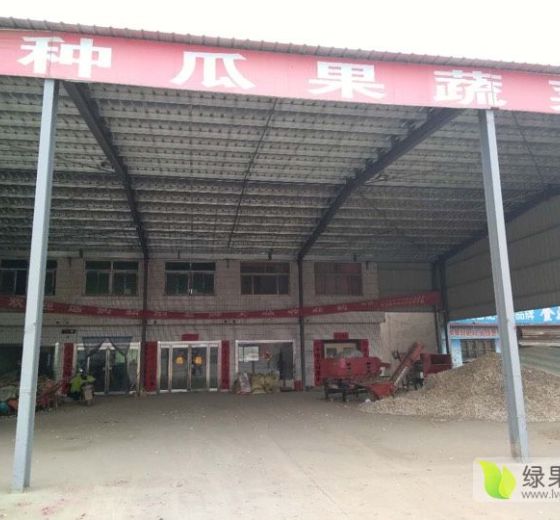 2019年山东单县京欣价格
